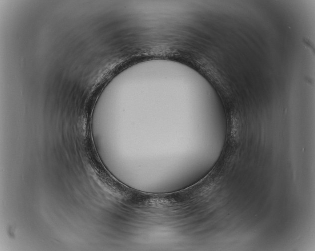 X0000102230636200808081348