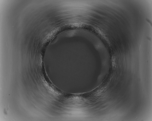 X0000102230637200808081348