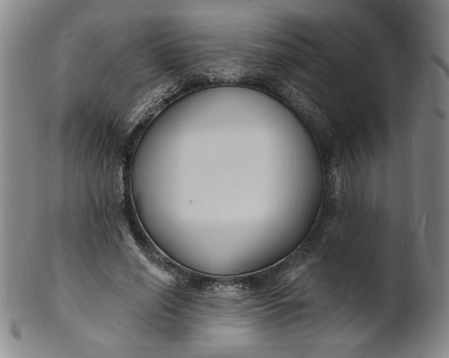 X0000102230638200808081348