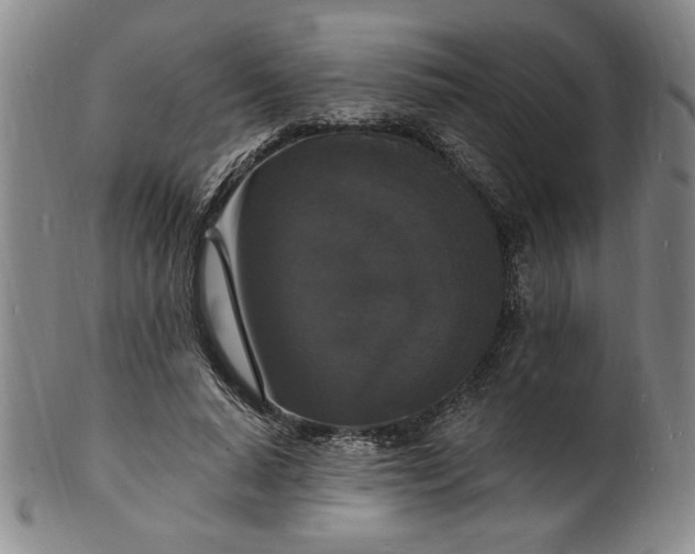 X0000102230640200808081348