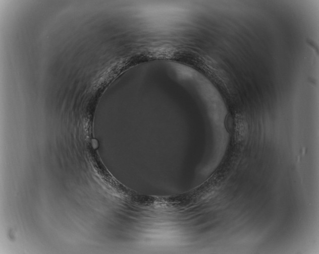 X0000102230641200808081348