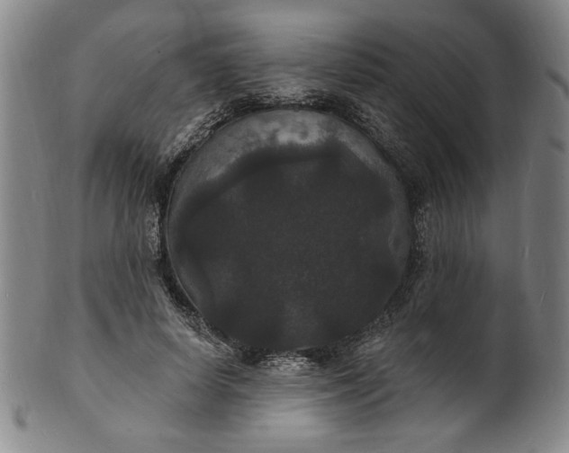 X0000102230642200808081348