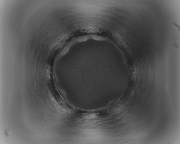 X0000102230643200808081348