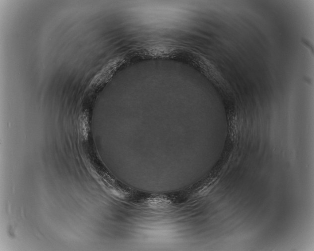 X0000102230644200808081348