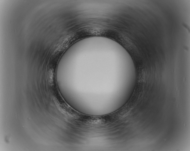 X0000102230646200808081348