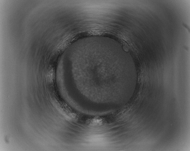 X0000102230647200808081348