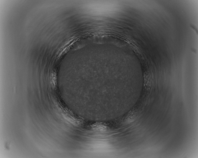 X0000102230648200808081348