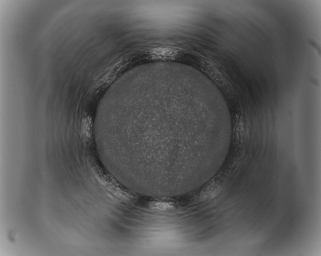 X0000102230649200808081348
