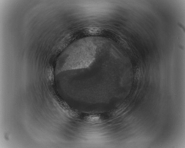 X0000102230651200808081348