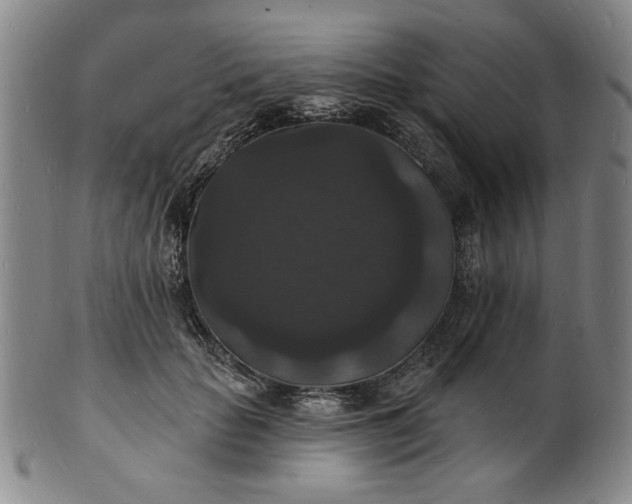X0000102230653200808081348