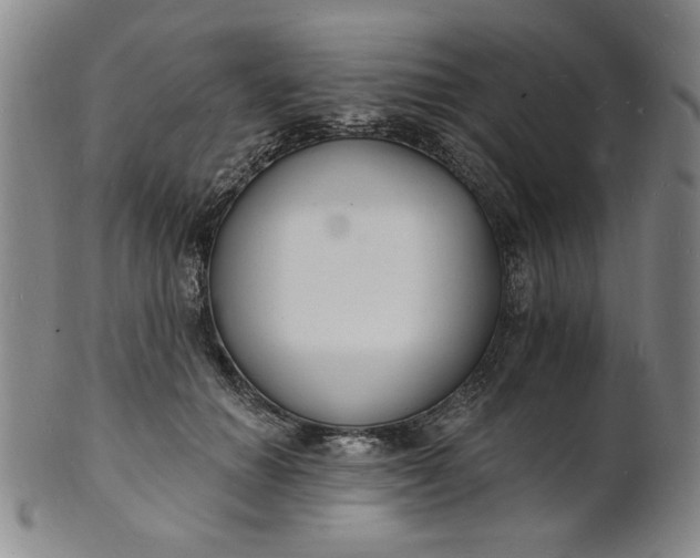 X0000102230654200808081348