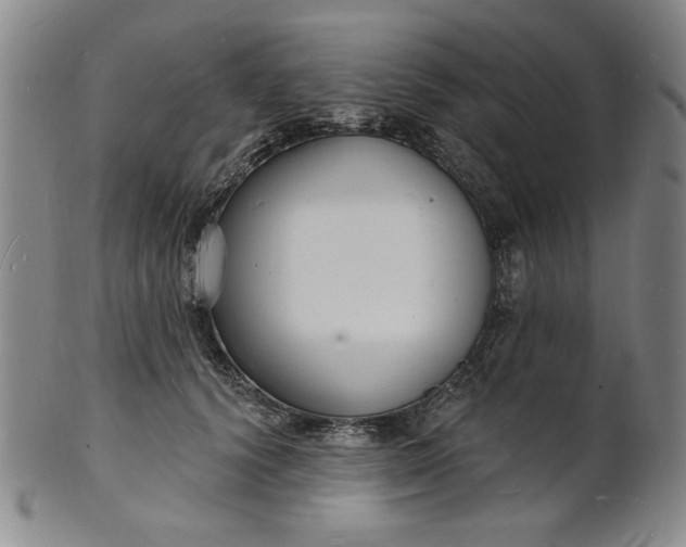 X0000102230656200808081348