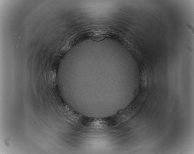 X0000102230657200808081348