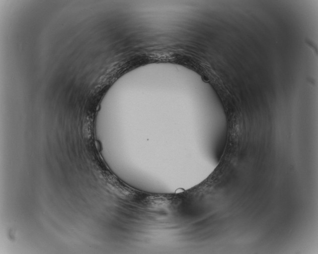 X0000102230658200808081348