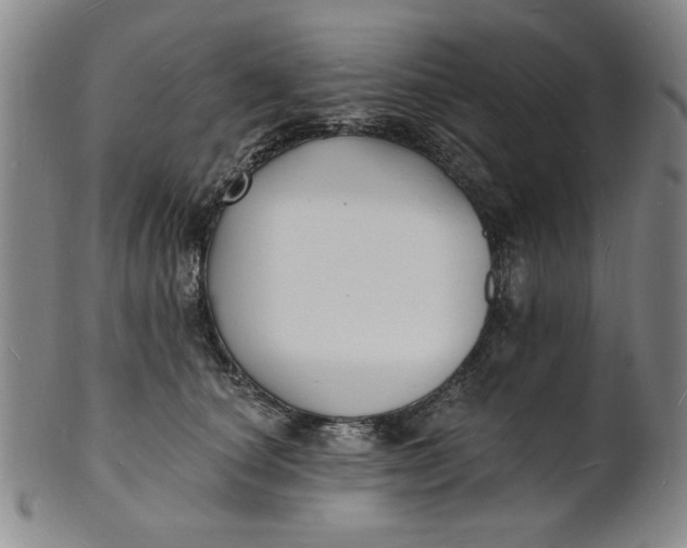 X0000102230660200808081349