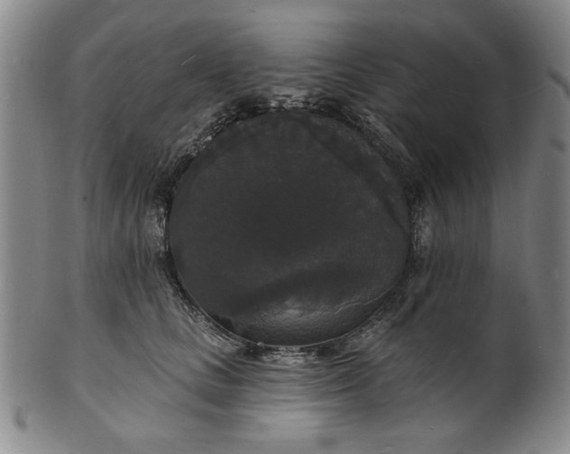 X0000102230661200808081349