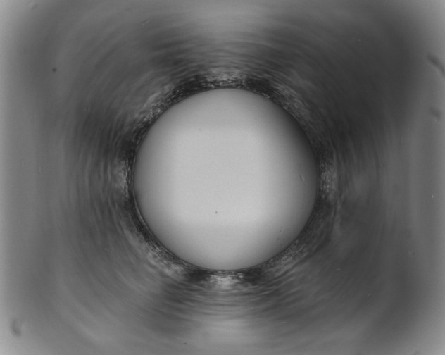 X0000102230662200808081349