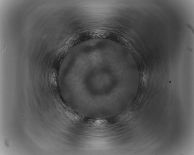 X0000102230663200808081349