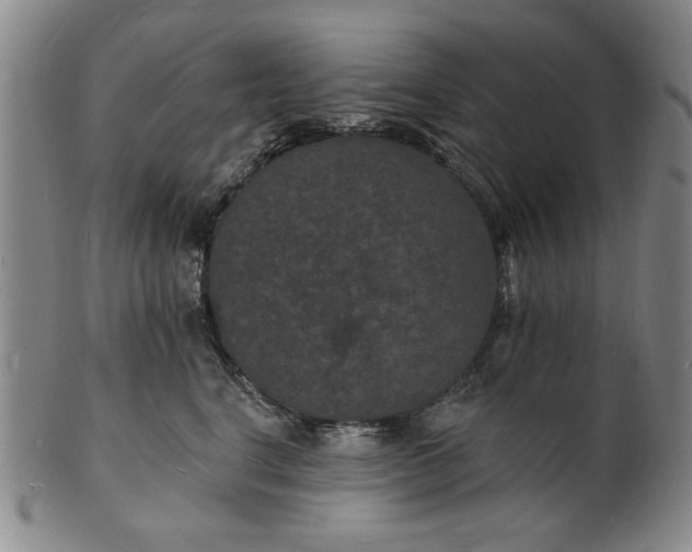 X0000102230664200808081349