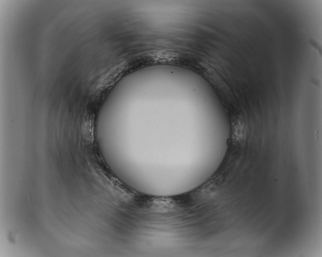 X0000102230666200808081349