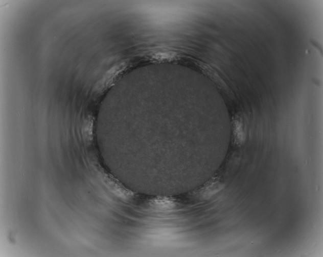 X0000102230668200808081349