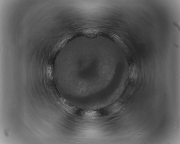 X0000102230669200808081349
