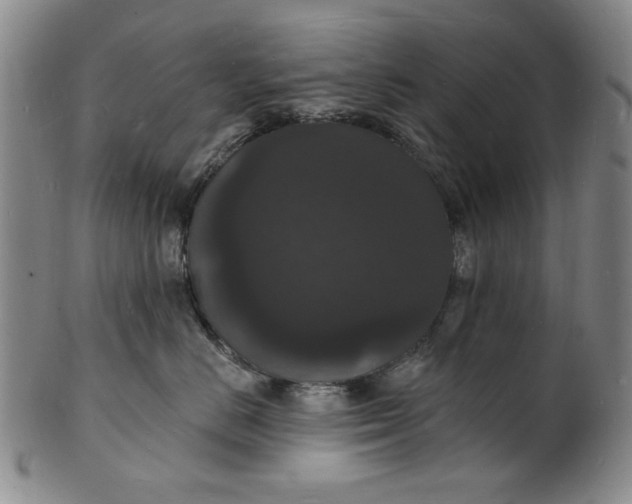 X0000102230670200808081349