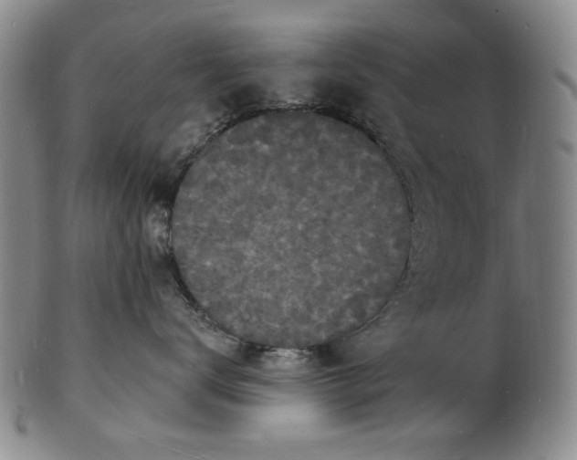 X0000102230672200808081349
