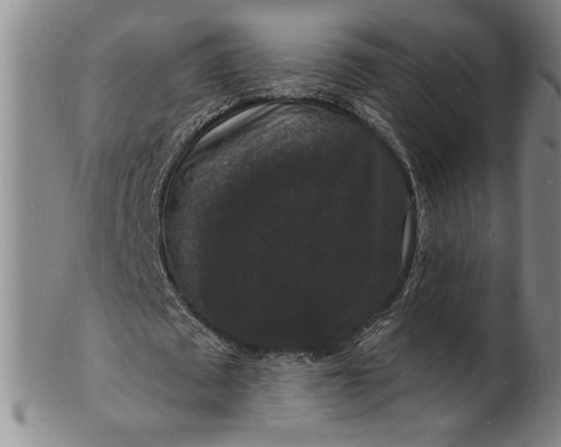 X0000102230673200808081348