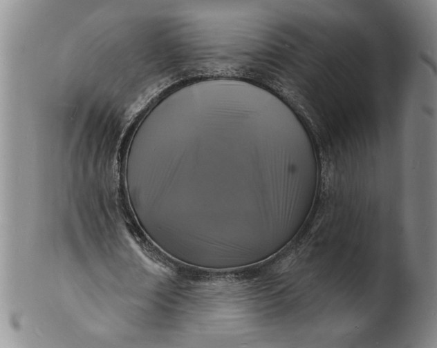 X0000102230674200808081348