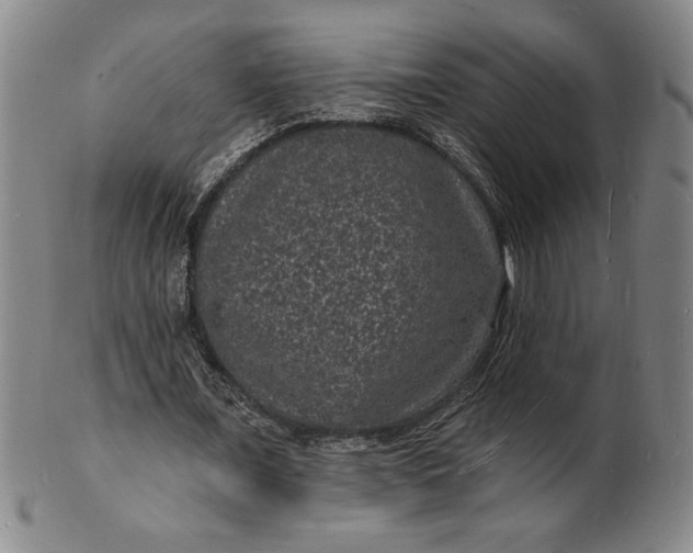 X0000102230675200808081348