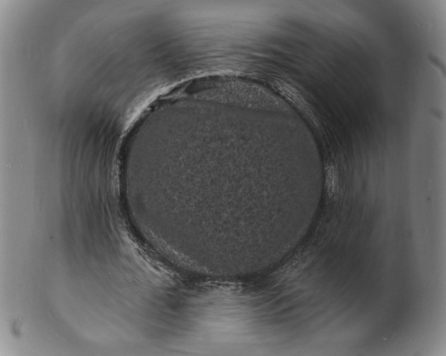 X0000102230676200808081348