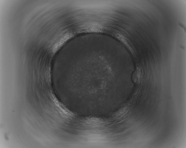 X0000102230677200808081348