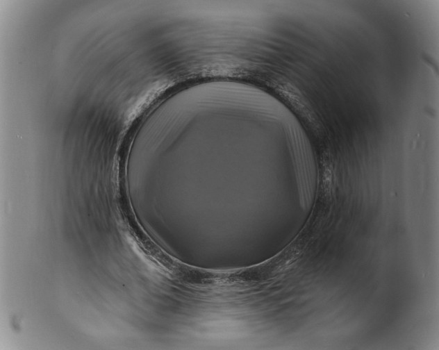 X0000102230678200808081348