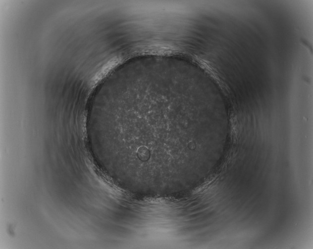 X0000102230679200808081348
