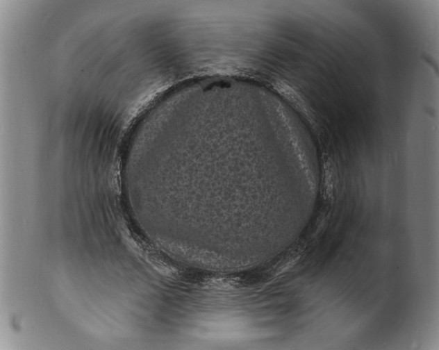 X0000102230680200808081348