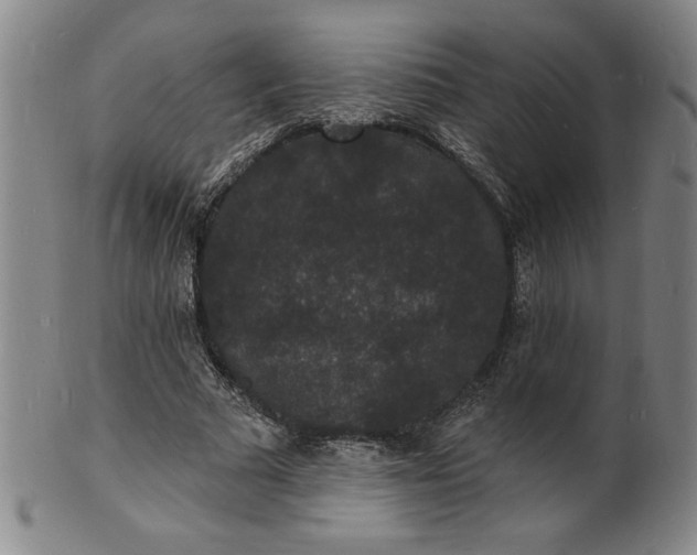 X0000102230681200808081348