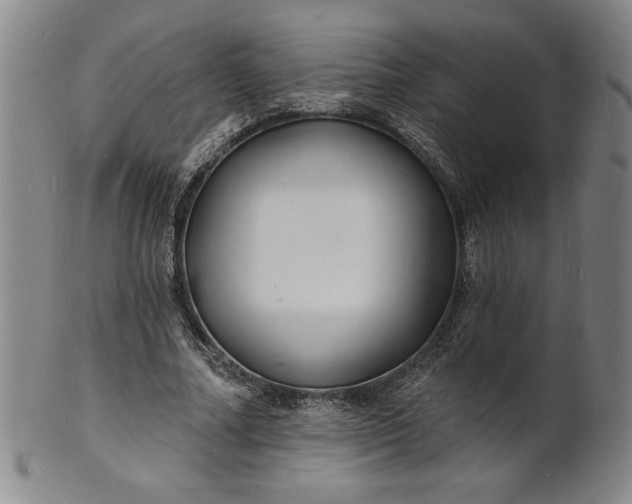 X0000102230682200808081348