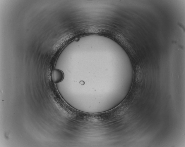 X0000102230683200808081348