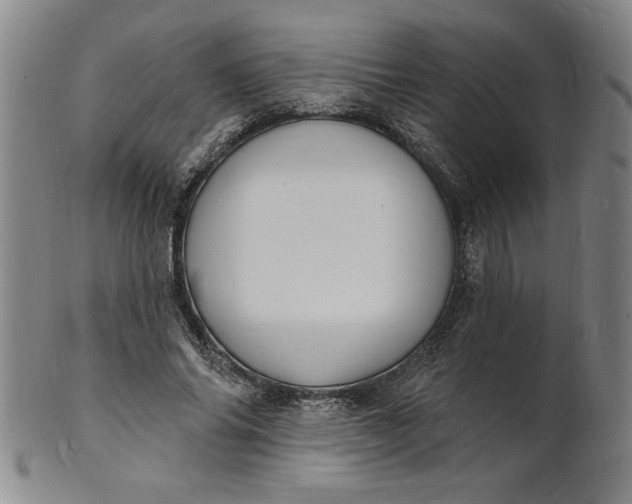X0000102230686200808081348