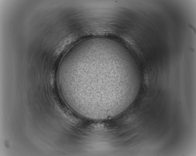 X0000102230687200808081348