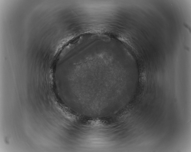 X0000102230688200808081348
