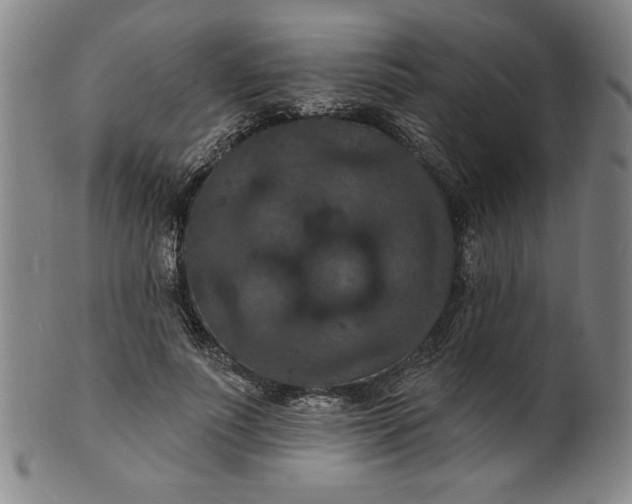 X0000102230691200808081348