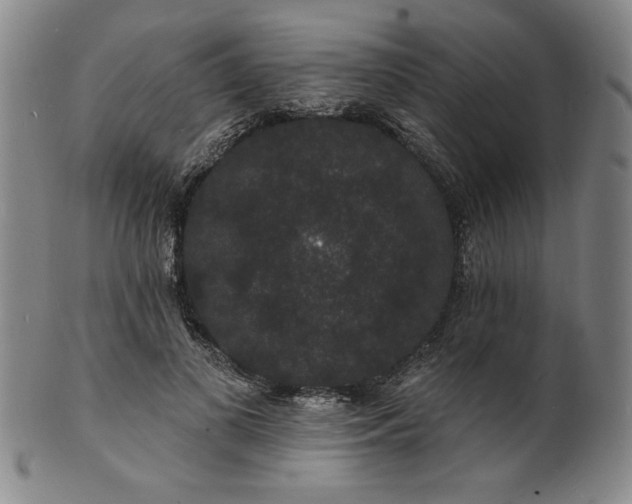 X0000102230693200808081348