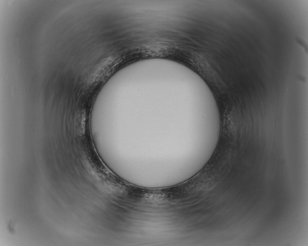 X0000102230694200808081348