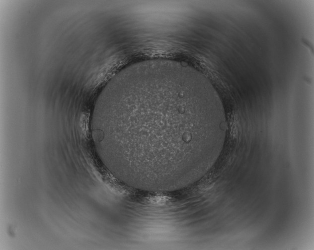 X0000102230695200808081348