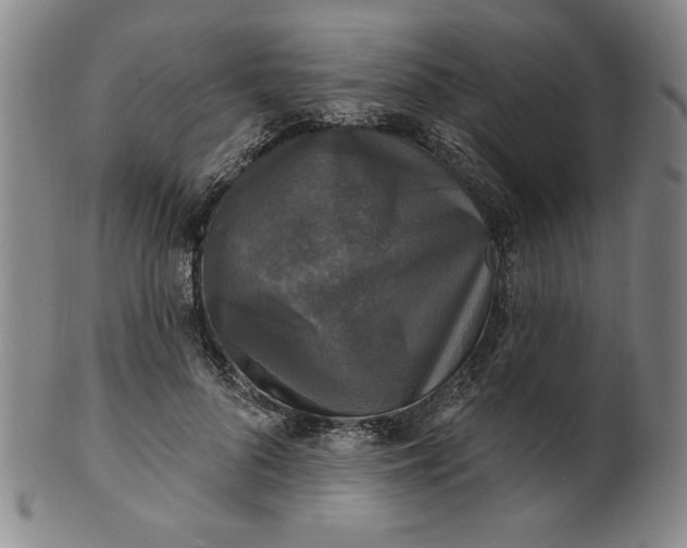 X0000102230696200808081348