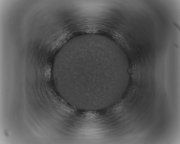 X0000102230697200808081348