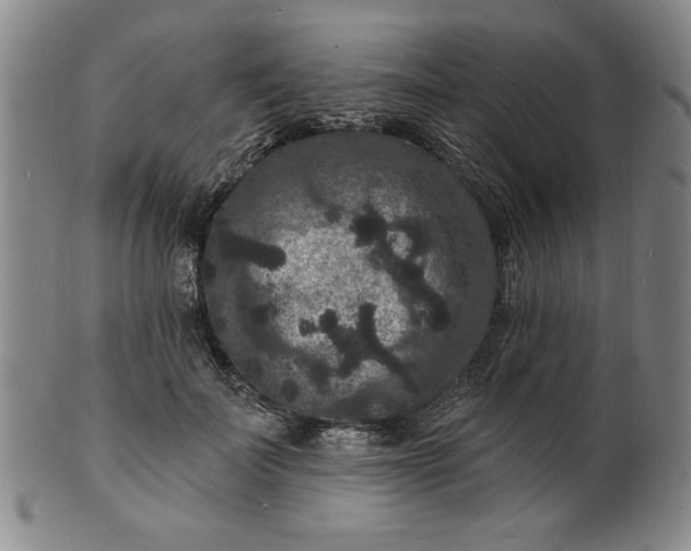 X0000102230699200808081347