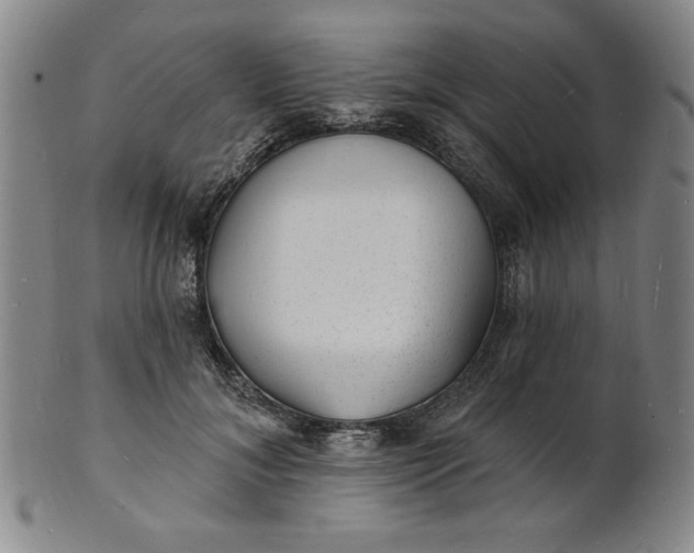 X0000102230700200808081347